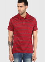 Proline Red Polo T-Shirt