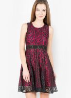 The Vanca Fuchsia Colored Embroidered Skater Dress