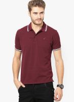 The Vanca Wine Solid Polo T-Shirts