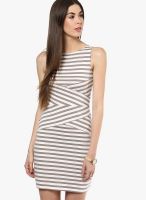 Tshirt Company Grey Colored Striped Bodycon Dress