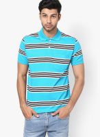 Wilkins & Tuscany Blue Striped Polo T-Shirts