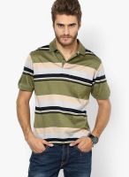 Wilkins & Tuscany Green Striped Polo T-Shirts