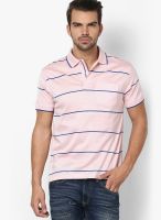 Wilkins & Tuscany Pink Striped Polo T-Shirts