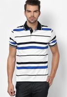 Wilkins & Tuscany White Striped Polo T-Shirts