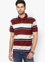 Wilkins & Tuscany Wine Striped Polo T-Shirts