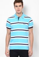 Wrangler Blue Striped Polo T-Shirts