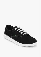 Crocs Lopro Canvas Plim Black Sneakers