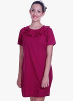MEIRO Wine Colored Solid Shift Dress