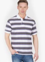 Wilkins & Tuscany White Striped Polo T-Shirts