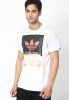 Adidas_Originals_White_Printed_Roun.jpg