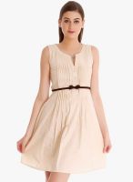 109F Beige Solid Skater Dress