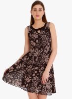 109F Brown Printed Skater Dress