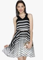 20dresses Black Colored Striped Skater Dress