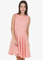 Cherymoya Pink Striped Skater Dress