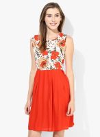 Cinnamon Red Colored Printed Skater Dress