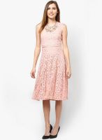Dorothy Perkins Pink Colored Solid Skater Dress