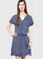 Fame Forever By Lifestyle Blue Colored Printed Skater Dress