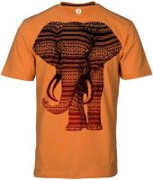 Huetrap Graphic Print Men's Round Neck Orange T-Shirt