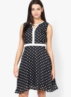 Lara Karen Black Colored Printed Skater Dress