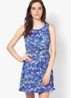 New Look Blue Colored Printed Skater Dress
