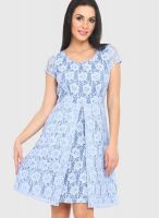 Phenomena Blue Colored Solid Skater Dress