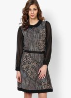 Soie Grey Colored Printed Skater Dress