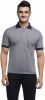 Ashdan_Solid_Men_s_Polo_Neck_T_Shir_1.jpg