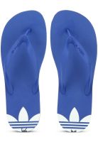 Adidas Originals Adi Sun Blue Flip Flops