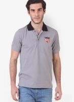 American Crew Grey Solid Polo T-Shirts