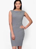 Color Cocktail Navy Blue Colored Printed Bodycon Dress