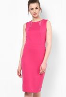Dorothy Perkins Pink Colored Solid Bodycon Dress