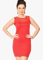 Miss Chase Orange Colored Embroidered Bodycon Dress