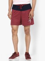 Proline Maroon Shorts