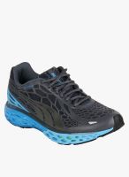 Puma Bioweb Elite Grey Running Shoes