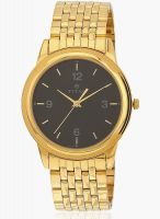 Titan 1638Ym03 Golden/Black Analog Watch