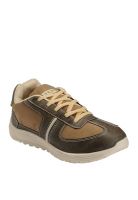 Yepme Brown Running Shoes