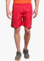 Fitz Red Solid Shorts