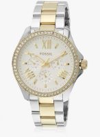 Fossil Am4543-C Two Tone/Silver Analog Watch