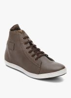 Knotty Derby James Brown Sneakers