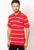 Maxxport Red Striped Polo T-Shirts