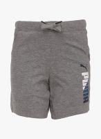 Puma Grey Melange Shorts