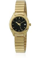 Titan Nd2489Ym06 Golden/Black Analog Watch