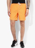 Tom Tailor Orange Solid Shorts