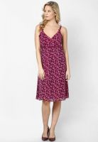 s.Oliver Pink Colored Printed Shift Dress