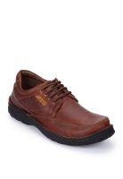 Buckaroo Dart Brown Loafers