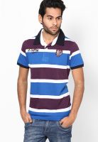 Duke Blue Striped Polo T-Shirts