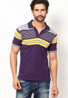 Duke Purple Striped Polo T-Shirts