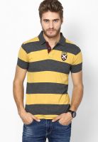 Pepe Jeans Yellow Striped Polo T-Shirts