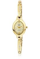 Q&Q S087-010Y Golden/Golden Analog Watch