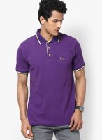 Riot Jeans Purple Solid Polo T-Shirts